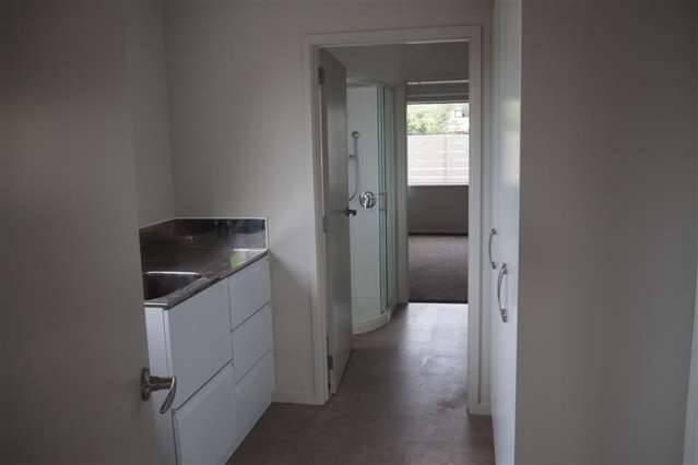 44 Suffolk Street Hampstead_2