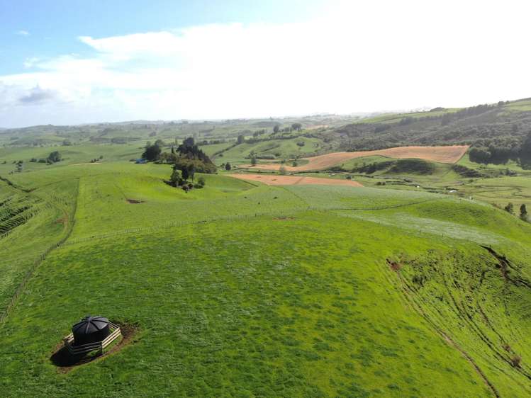 48 Barber Road Otewa_21