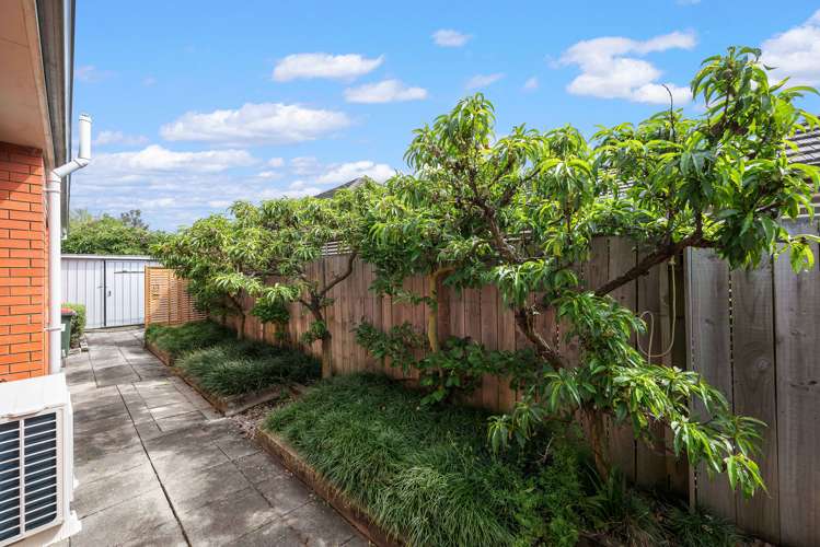 11 Roussel Place Springlands_27