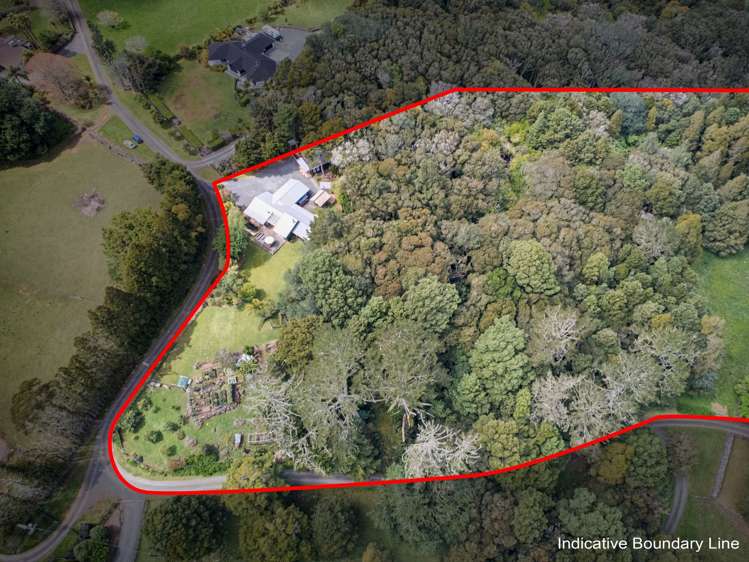 48 Forest View Road Te Kamo_4