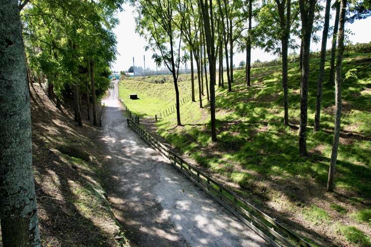 171b Gridley Road Te Puke_12