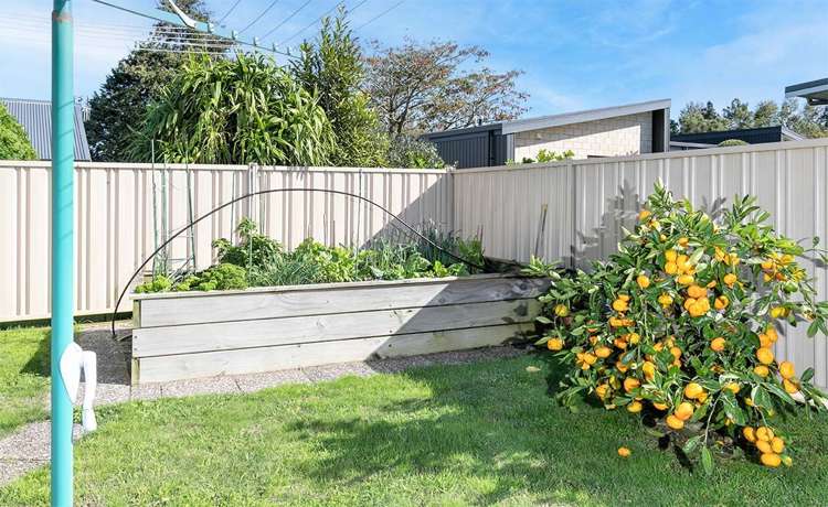 57 Ritchie Street Te Aroha_11