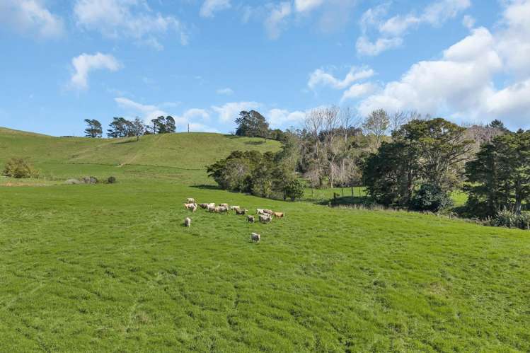 Lot 2 Adams Road Glenbervie_22