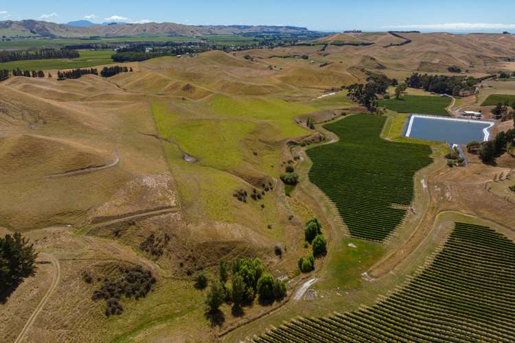 167 Marama Road Seddon_11