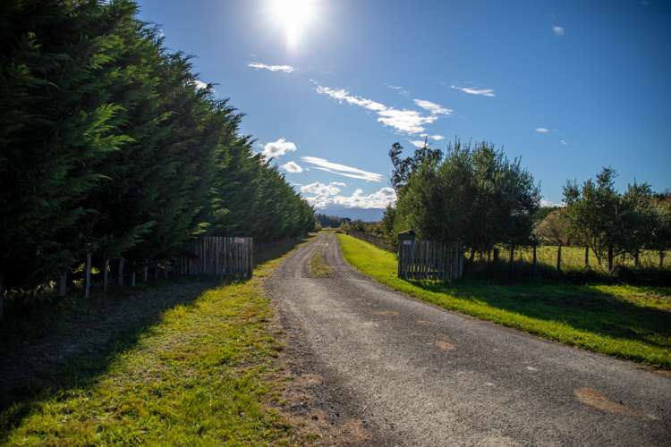108 Ferry Road Martinborough_17