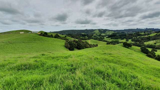 914 Fisher-Riley Road Kaingaroa_1