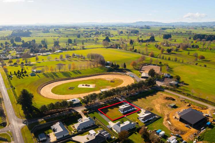 65 Grey Street Kihikihi_9