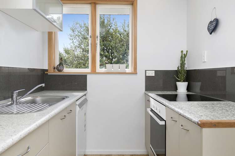 45a Windsor Road Bellevue_10