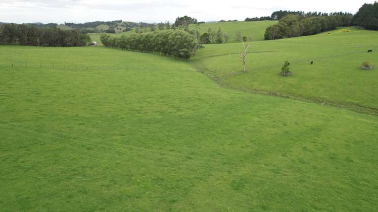 280 Old Bay Road Pakaraka_3