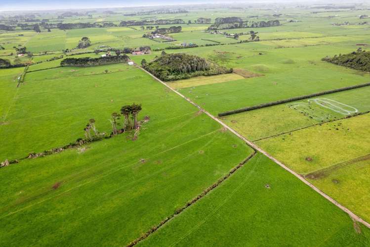 192 Upper Kina Road Oaonui_15