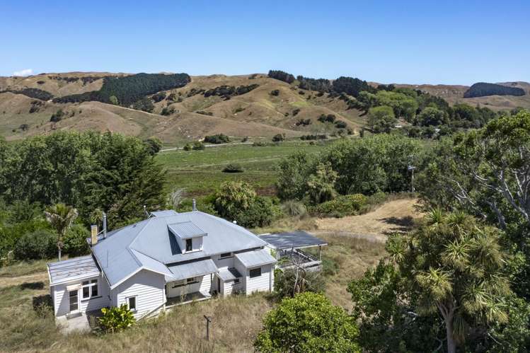 475 Te Akau South Road Te Akau_6