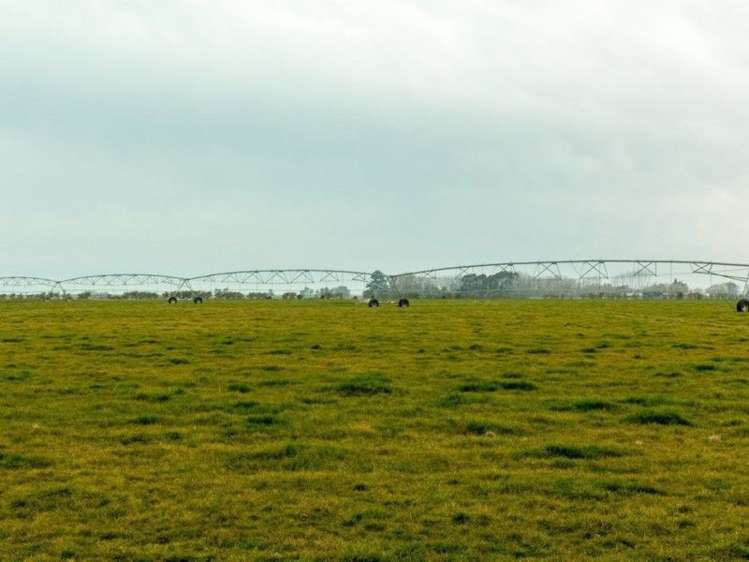 100 Hides Road Seadown_9