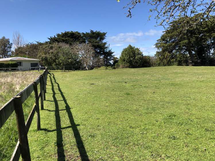 26 Buxton Road Westmere_7