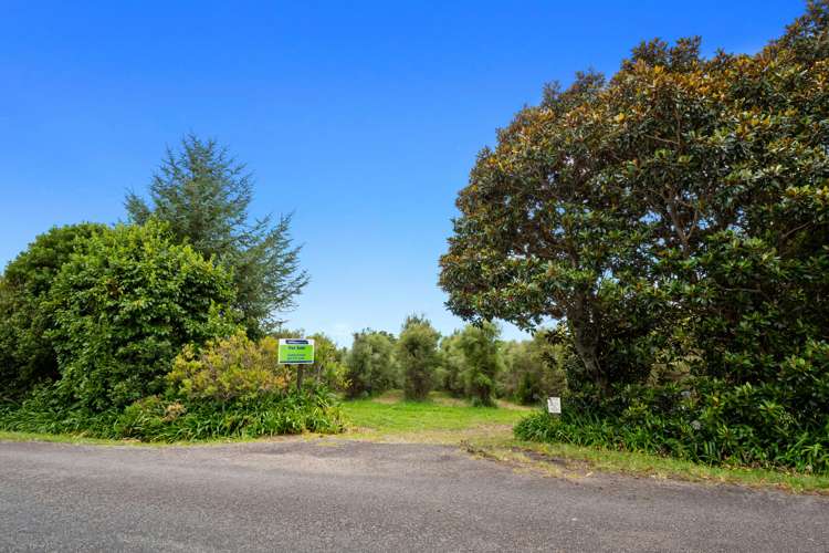 Pine Ridge Lane Aongatete_12