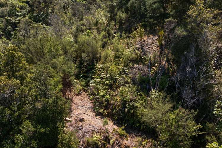 Double Bay, Reatihi Marlborough Sounds_11