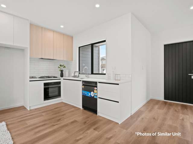 10 Hera Street Flat Bush_1