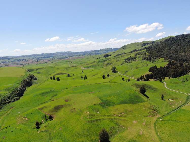 Kahuwera Road Piopio_24