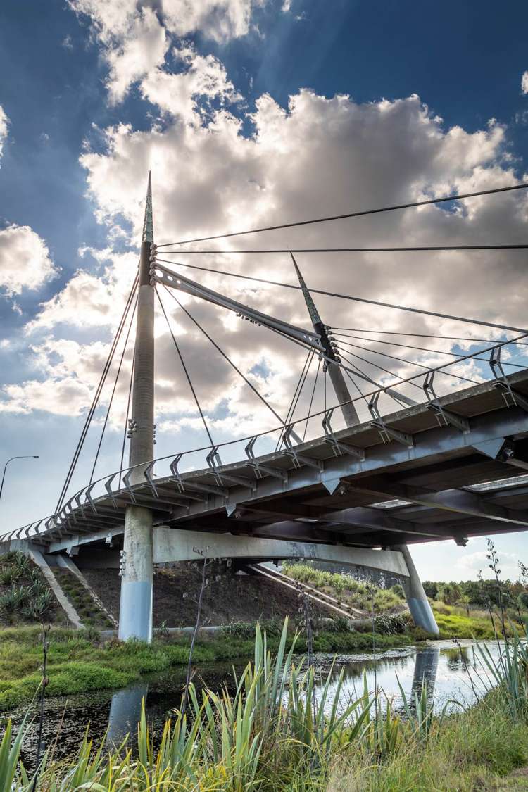 19 Ballyliffin Drive Flat Bush_4