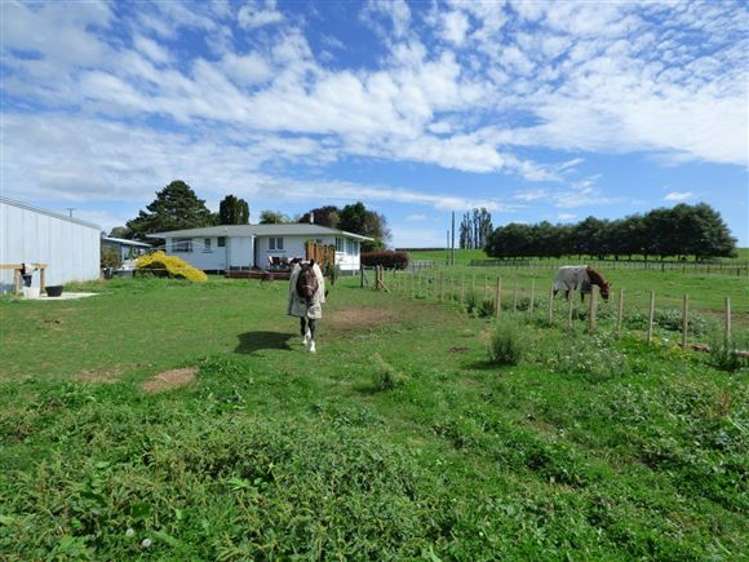 453 Mangaorongo Road Otorohanga_19