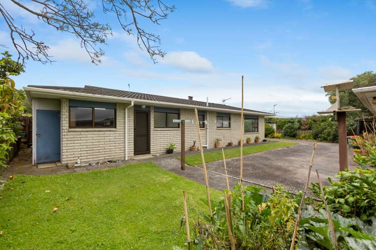 43b Wallace Place Westown_17