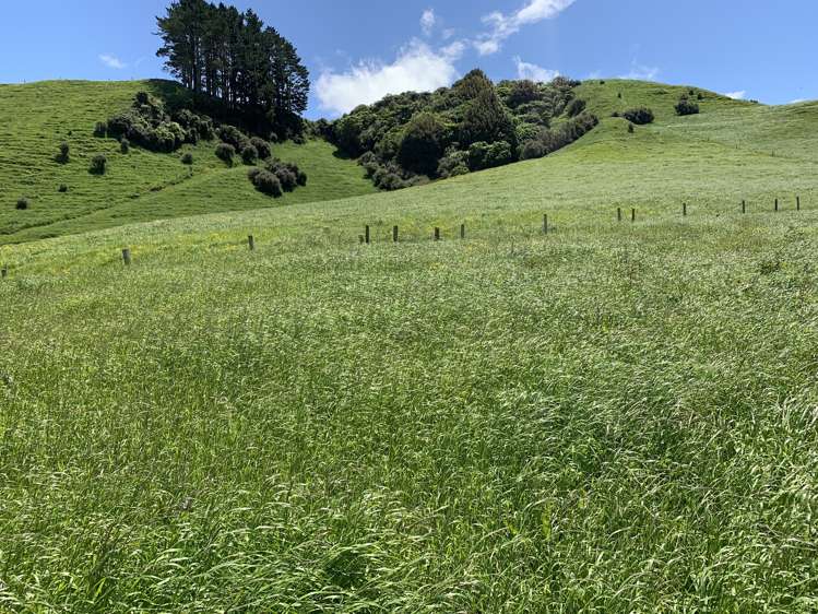 678 Bird Road Stratford_10