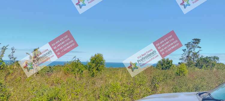 Address withheld Sigatoka_22