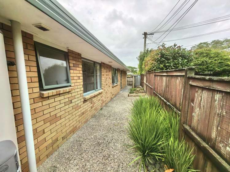 216b Campbell Road Greenlane_4