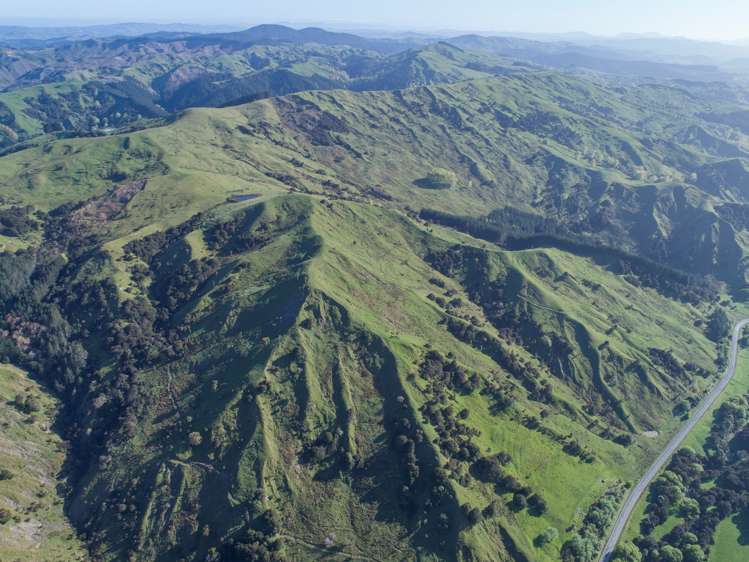 2612 Masterton Castlepoint Road Mangapakeha_11