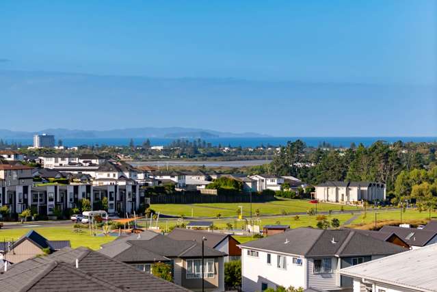 Elevated Living, Endless Views, Room for Everyone