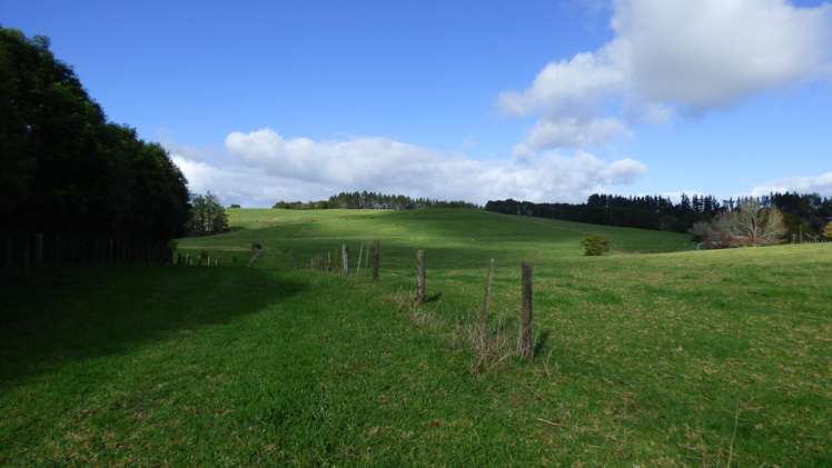 336 Old Bay Road Pakaraka_5