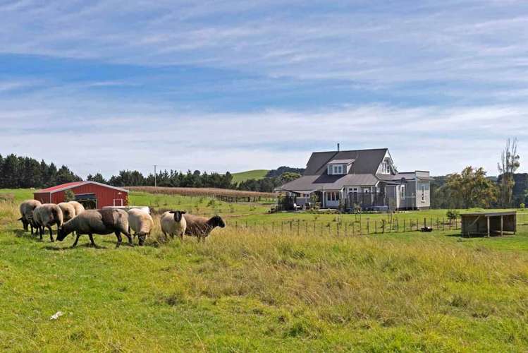 10b Higham Road South Head_27