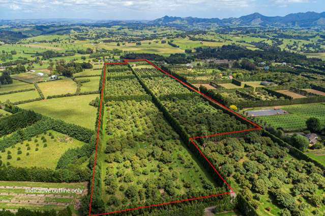 1700 State Highway 14 Maungatapere_3