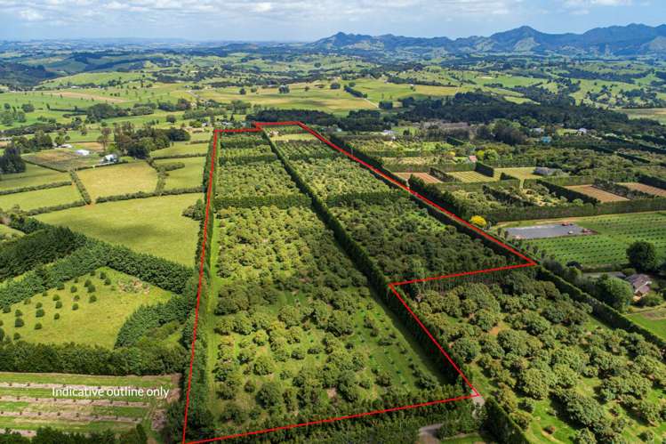 1700 State Highway 14 Maungatapere_3