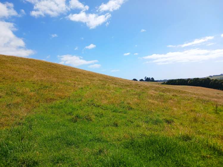 State Highway 10 Kaingaroa_8