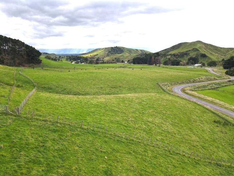 672 Weber Road Dannevirke_18