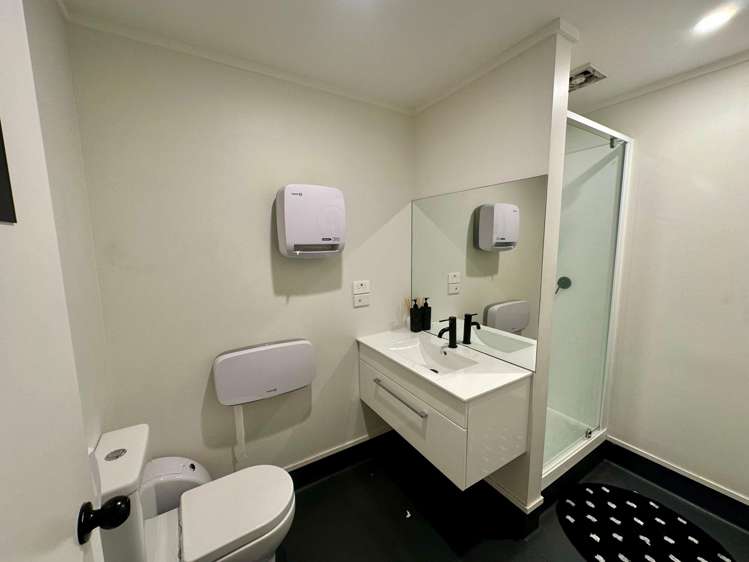 23 Pollen Street Grey Lynn_7