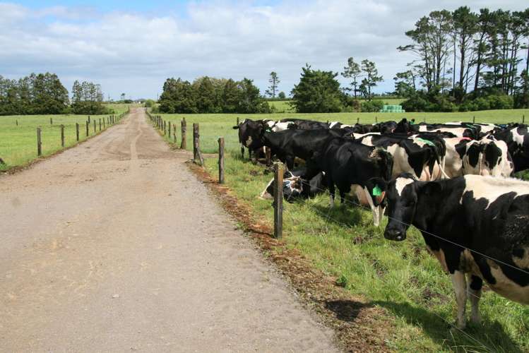 172 Radnor Road Midhirst_16