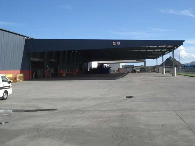 4 Hautu Drive Wiri_4