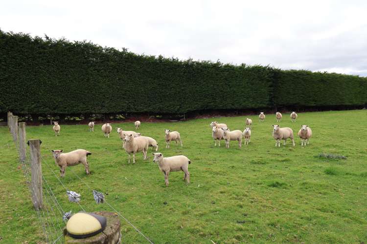 203 Pomona Road East Makarewa_37