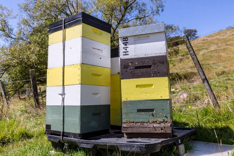 2010 Te Wharau Road Te Wharau_13