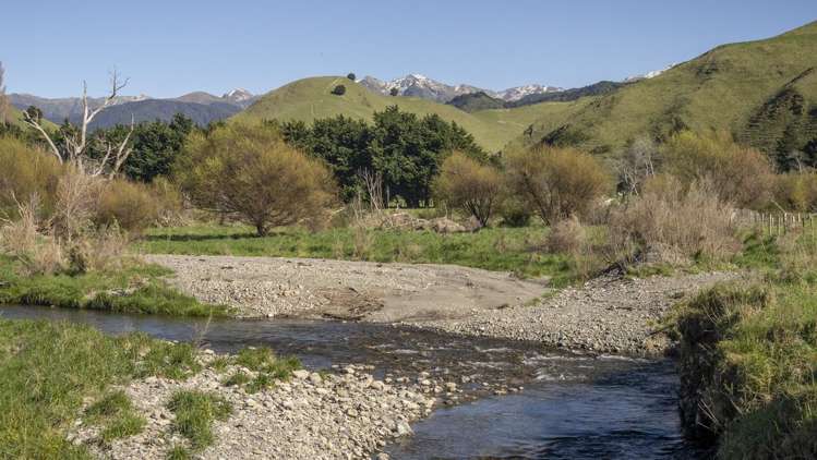 Lot 1 Mikimiki Road Masterton_16