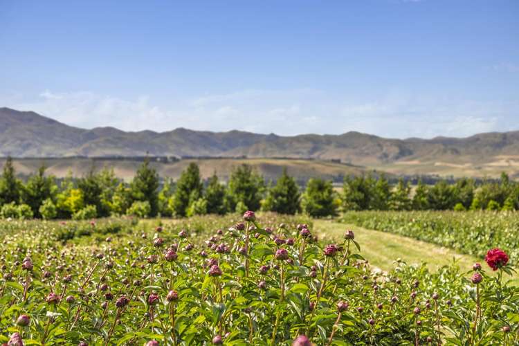 42D Gladsmuir Road Queensberry_12