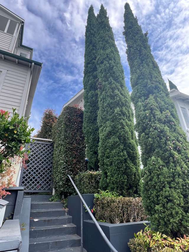 9 Churton Street Parnell_3