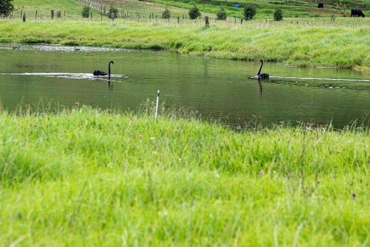 30C Te Ranga Road Kaeo_17