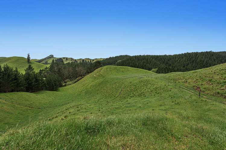 26 Settlement Road Pikowai_15