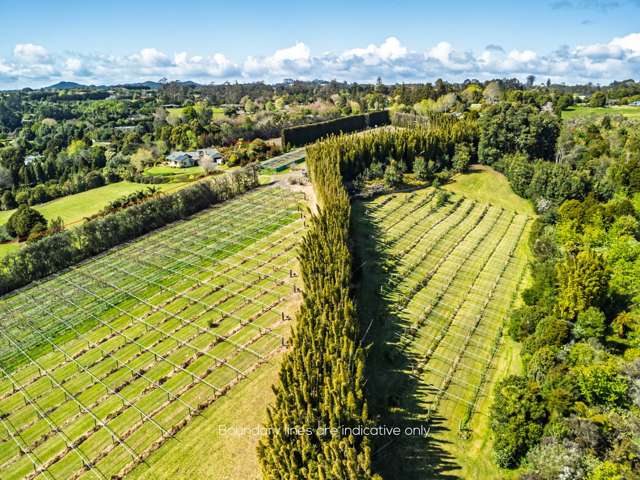 43e Blue Gum Lane Kerikeri_1