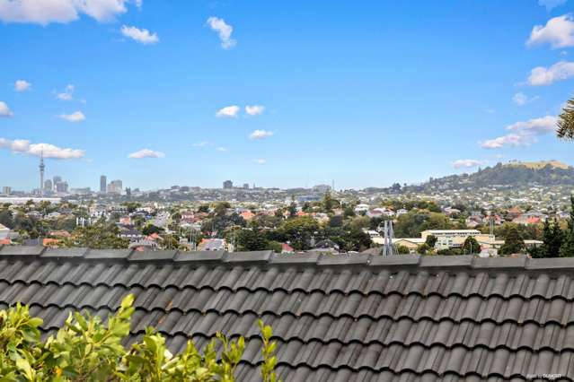 3 Zamora Lane Mount Roskill_2