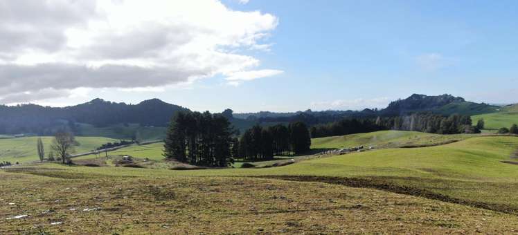 Waitomo Caves Road Waitomo_8