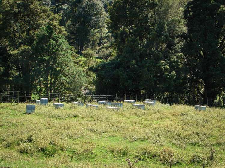 82 Carter Road Taumarunui_9