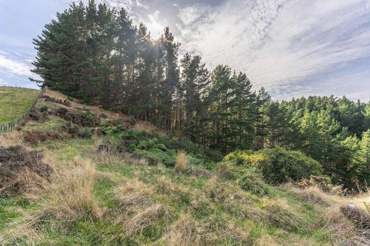 258 Waitohu Valley Road Otaki_16